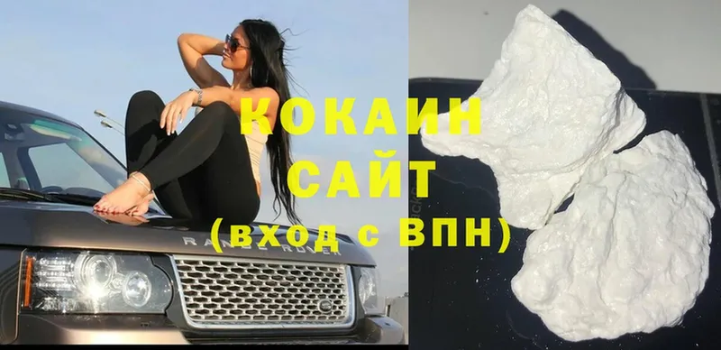 закладки  блэк спрут ТОР  COCAIN Fish Scale  Трубчевск 